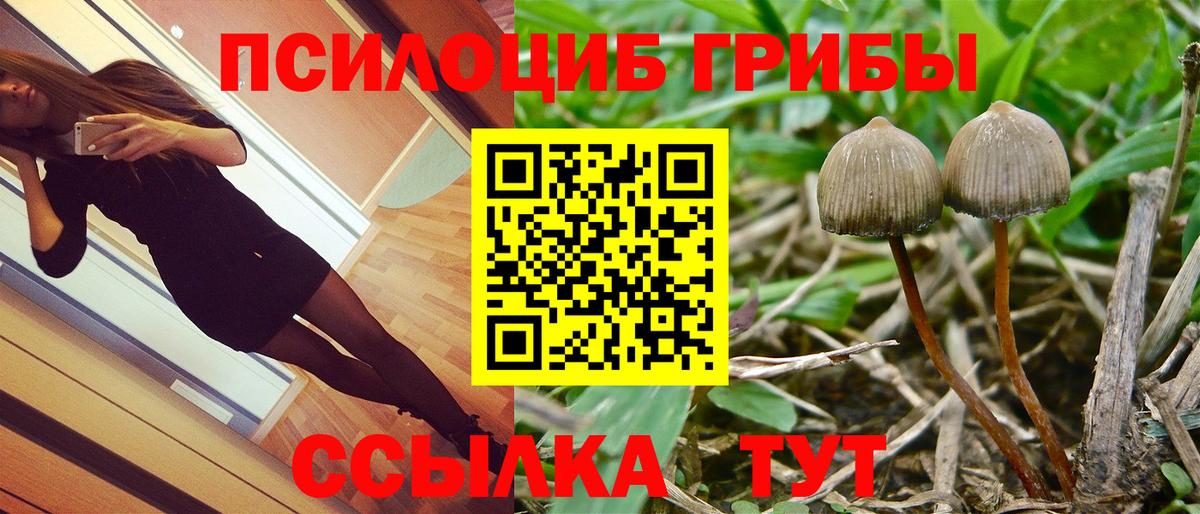 Псилоцибиновые грибы ЛСД Бугульма
